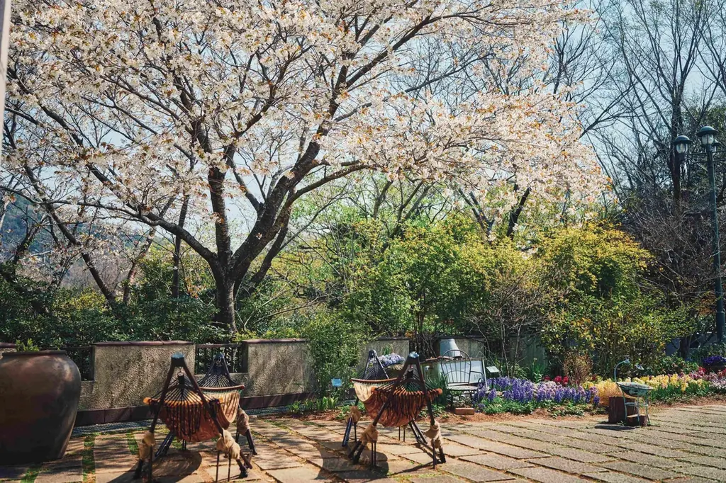 色鮮やかな春、到来。山上のリゾート”神戸布引ハーブ園”でGARDEN FEST 2026 -Spring-を開催。春色に彩るガーデン、爽やかな風と共に心地よい香りに包まれ、優雅な一日をお過ごしください 画像 16