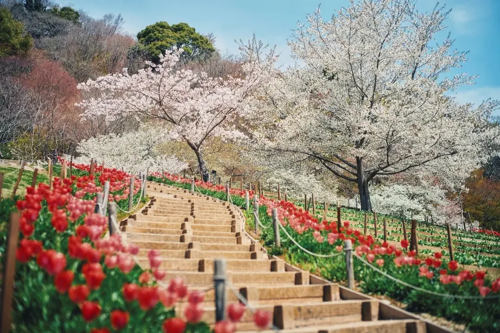 色鮮やかな春、到来。山上のリゾート”神戸布引ハーブ園”でGARDEN FEST 2026 -Spring-を開催。春色に彩るガーデン、爽やかな風と共に心地よい香りに包まれ、優雅な一日をお過ごしください 画像 4