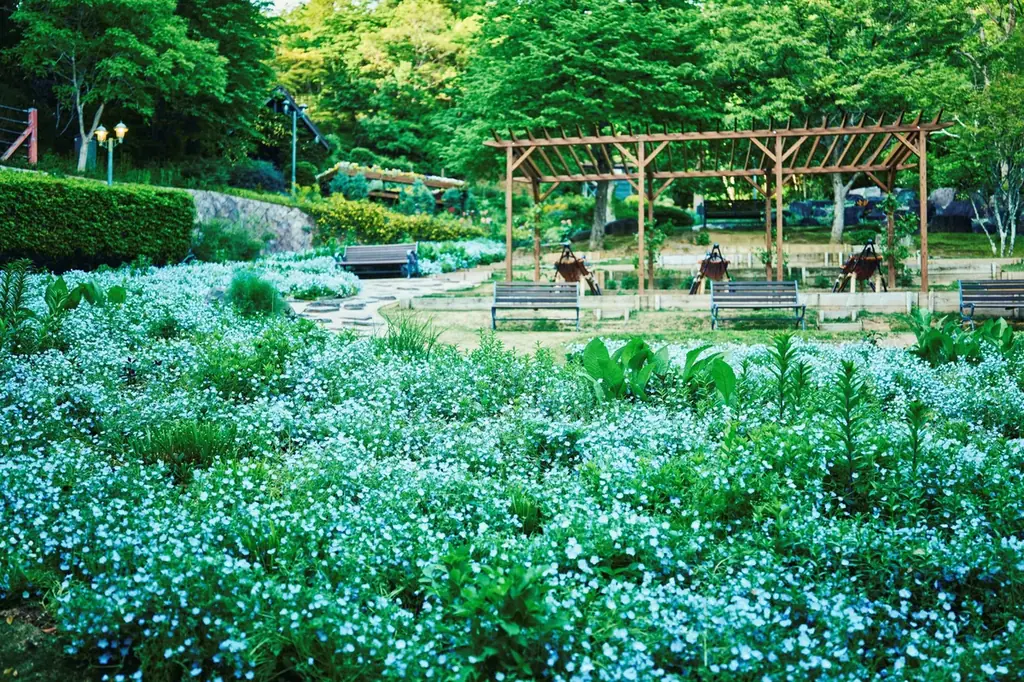 色鮮やかな春、到来。山上のリゾート”神戸布引ハーブ園”でGARDEN FEST 2026 -Spring-を開催。春色に彩るガーデン、爽やかな風と共に心地よい香りに包まれ、優雅な一日をお過ごしください 画像 5