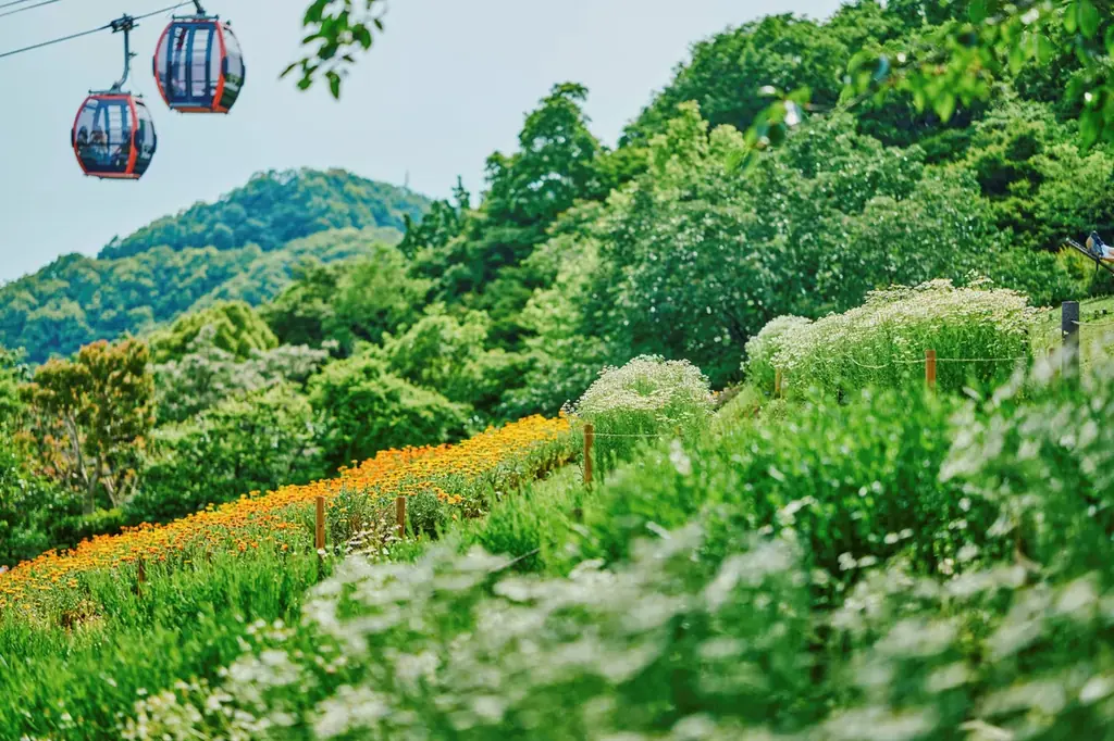 色鮮やかな春、到来。山上のリゾート”神戸布引ハーブ園”でGARDEN FEST 2026 -Spring-を開催。春色に彩るガーデン、爽やかな風と共に心地よい香りに包まれ、優雅な一日をお過ごしください 画像 6