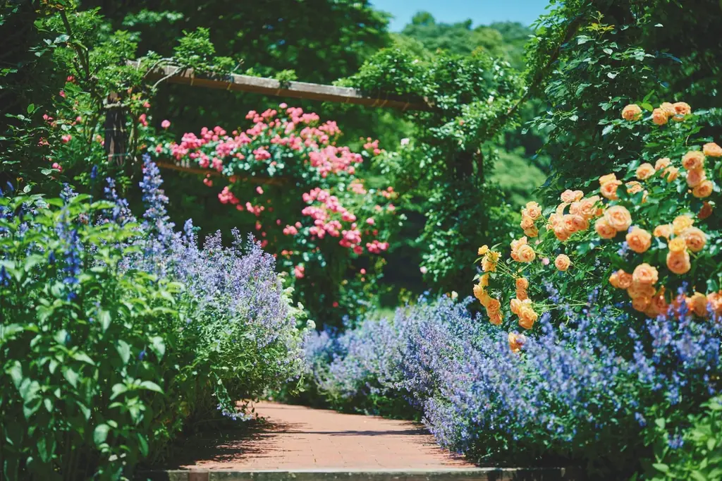 色鮮やかな春、到来。山上のリゾート”神戸布引ハーブ園”でGARDEN FEST 2026 -Spring-を開催。春色に彩るガーデン、爽やかな風と共に心地よい香りに包まれ、優雅な一日をお過ごしください 画像 7