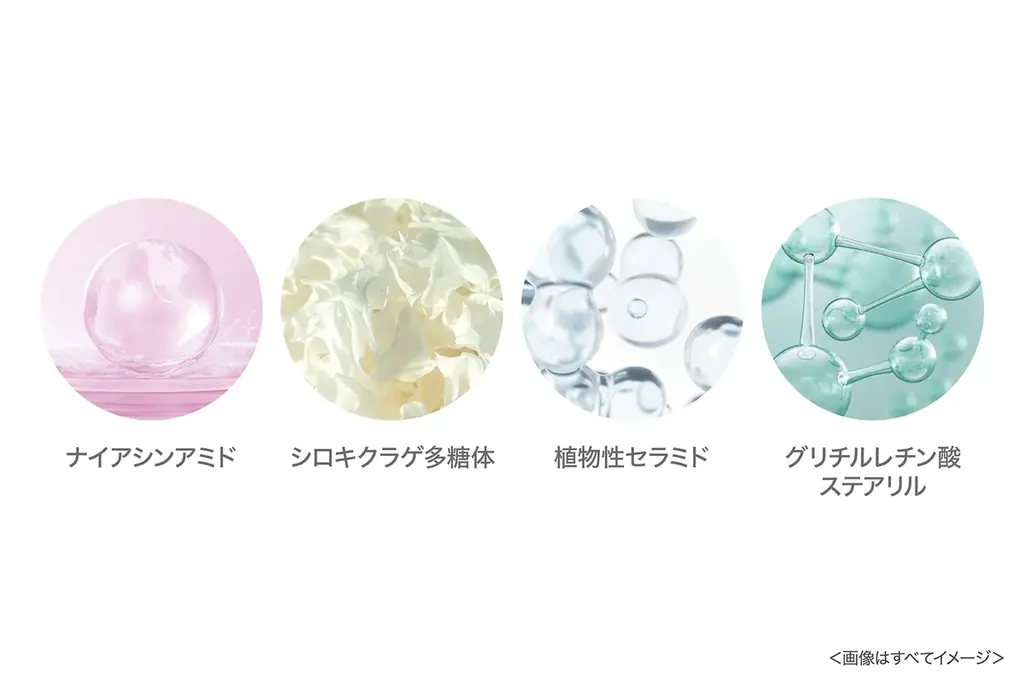 乾燥に悩む “薄肌” ヘ！厚塗り感ゼロ※1、素肌風キレイが叶うノンケミカル※2のブラシ一体型ふんわり薄膜パウダー 「モイット　シアーフィットパウダー」新発売！ 画像 5