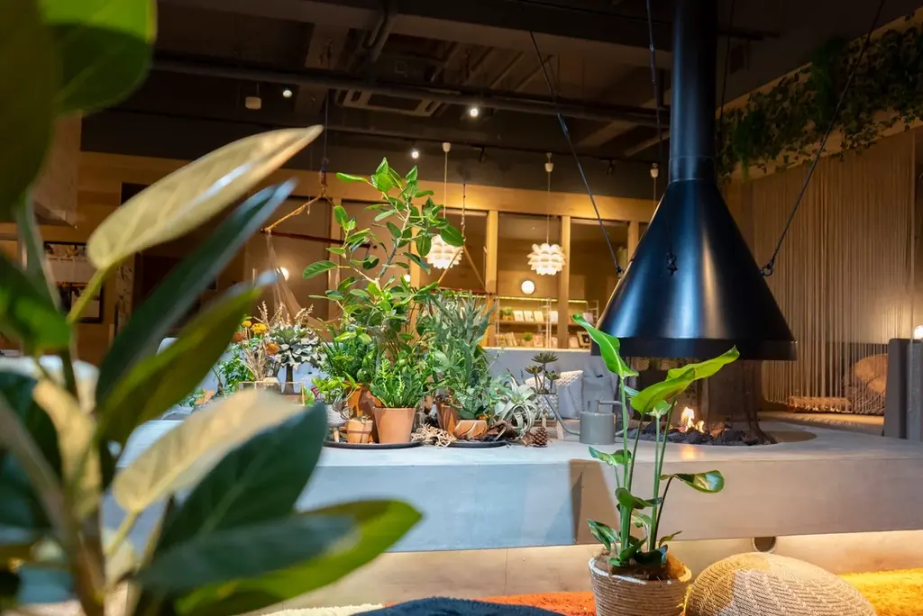 おふろcafe ハレニワの湯が4月からの新生活を全力応援！　期間限定で「ポイント会員登録料無料」、大好評の「学割プラン」を延長実施 画像 4