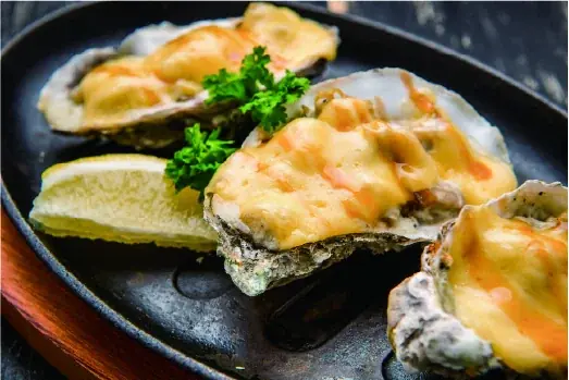 春の横須賀がドイツになる10日間。「横須賀オクトーバーフェスト2026」開催決定 画像 19