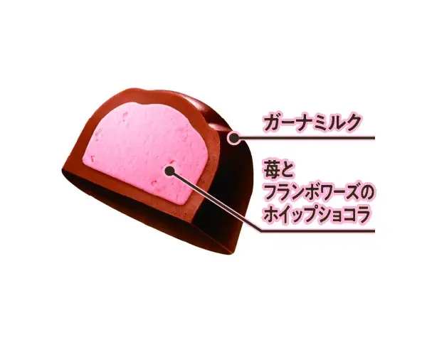 世界的に人気が高まる抹茶フレーバーが3年ぶりにプレミアムガーナで登場！爽やかな季節を彩る春夏限定プレミアムガーナ8品を発売 画像 11