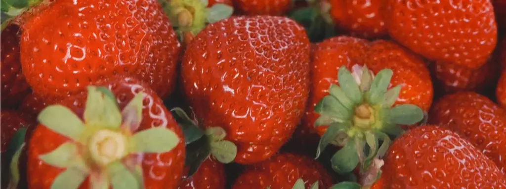 〜地元の繋がりから生まれたコラボレーション〜それぞれの哲学が交差して遂に完成した「あまおう」を使った食事に合うお酒が遂に販売開始。小暖 -Koharu 公式オンラインショップで新登場。 画像 3