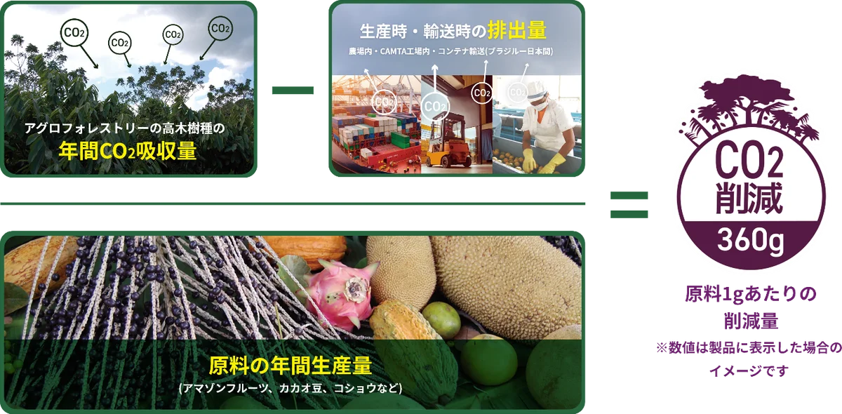 待望の全国発売！フルッタフルッタのアサイー使用ファミリーマート限定ヨーグルトドリンク3月下旬より販売開始！ 画像 3