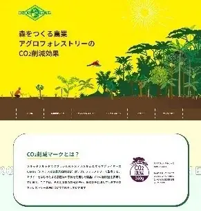 待望の全国発売！フルッタフルッタのアサイー使用ファミリーマート限定ヨーグルトドリンク3月下旬より販売開始！ 画像 4