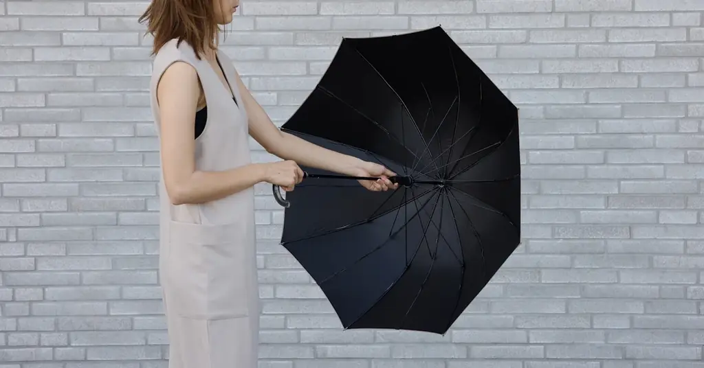 閉じるだけで一気にたためる日傘がリニューアル 画像 2