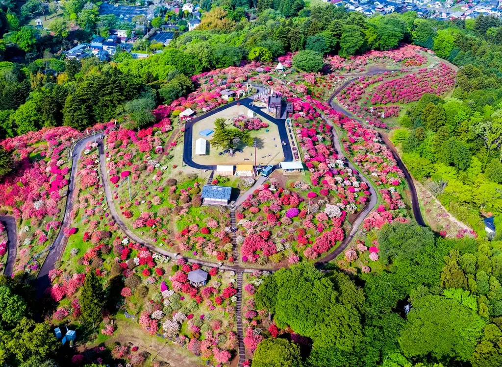 あたご山桜まつり