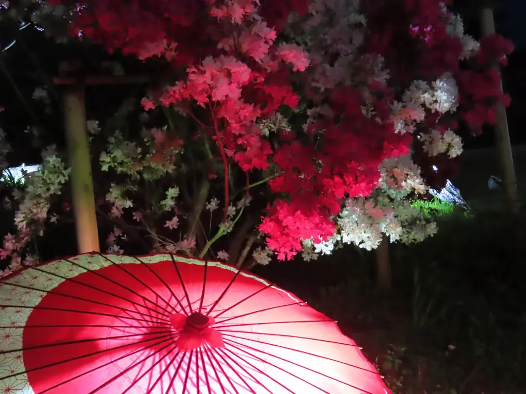 今年の春は笠間へ！花旅「あたご山桜まつり」と「笠間つつじまつり」 画像 10