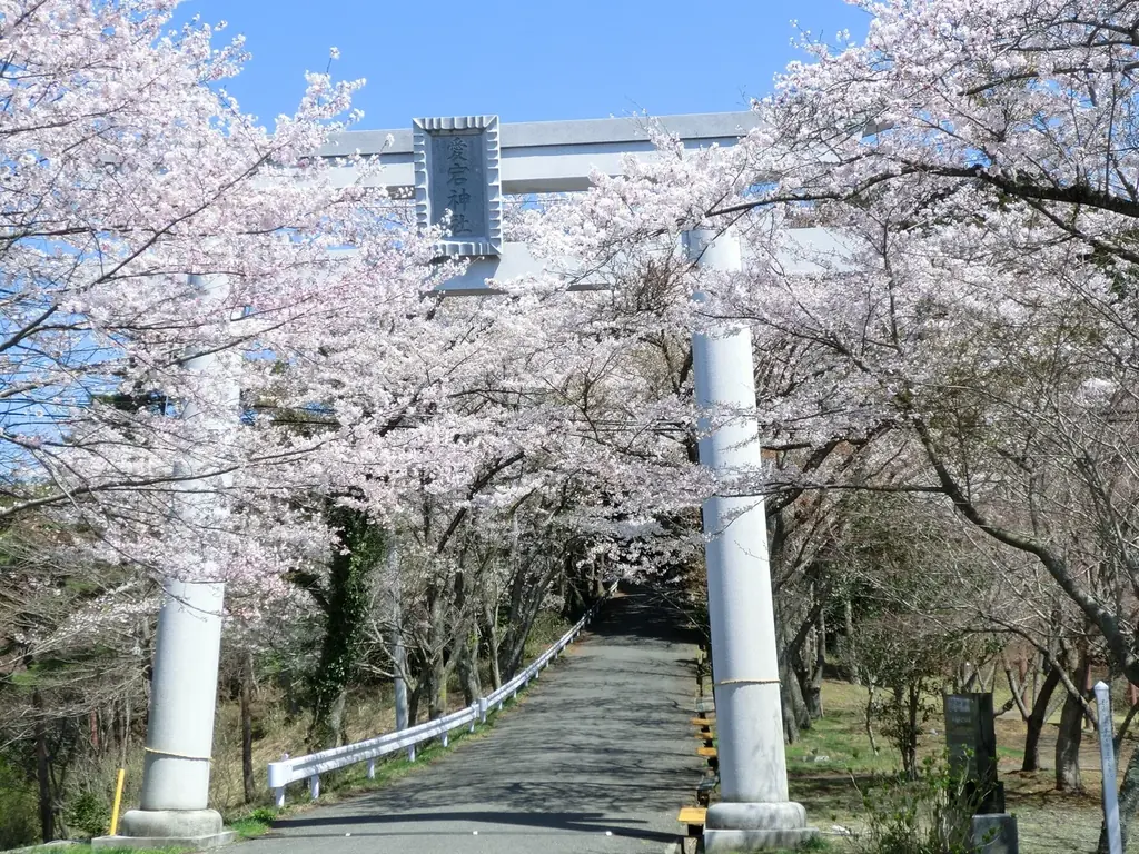 今年の春は笠間へ！花旅「あたご山桜まつり」と「笠間つつじまつり」 画像 6