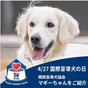 セブン‐イレブン・ジャパンが「犬と暮らしやすいまち」亀岡市と包括連携協定を締結 画像 2