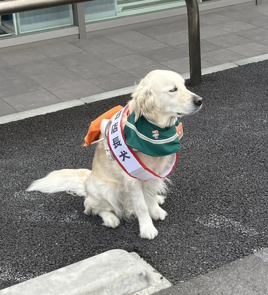 セブン‐イレブン・ジャパンが「犬と暮らしやすいまち」亀岡市と包括連携協定を締結 画像 3