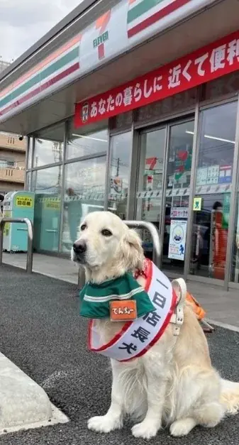 セブン‐イレブン・ジャパンが「犬と暮らしやすいまち」亀岡市と包括連携協定を締結 画像 4