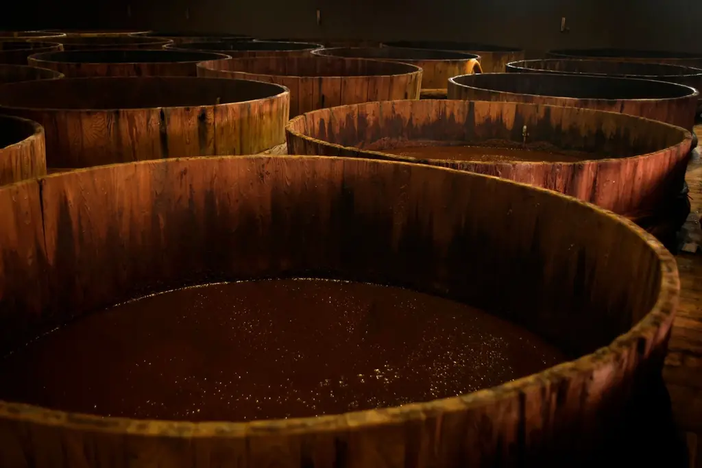 里山に囲まれた埼玉の奥地で味わう罪悪感ゼロのアフタヌーンティー。体に優しい「ゆばと豆腐のスイーツ」を「ちょうど良い」ボリュームで提供。ゆばカフェ紫水庵で4月からスタート。 画像 8