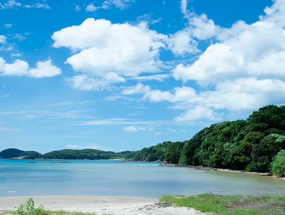 雲の果実？ふわふわ食感の新感覚わたあめが、鹿児島県阿久根市の返礼品に新登場！ 画像 5