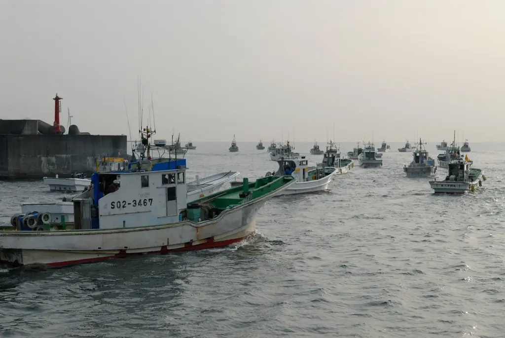 静岡市「用宗漁港」で3月21日(土)から、しらす漁が解禁／初日の水揚げ量は約2,000kg！とれたての「生しらす丼」や用宗漁港限定「しらすソフト」などお土産にもぴったりなしらすグルメも発売 画像 11