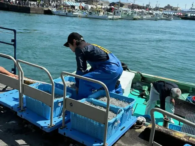 静岡市「用宗漁港」で3月21日(土)から、しらす漁が解禁／初日の水揚げ量は約2,000kg！とれたての「生しらす丼」や用宗漁港限定「しらすソフト」などお土産にもぴったりなしらすグルメも発売 画像 12