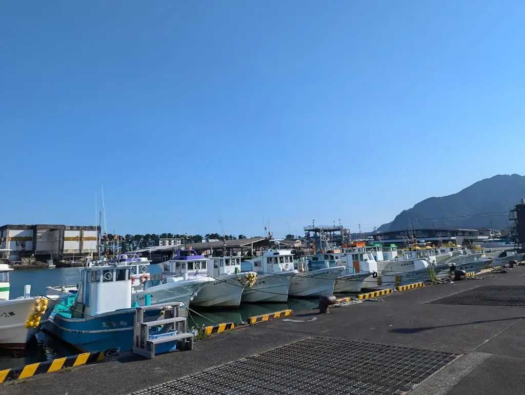 静岡市「用宗漁港」で3月21日(土)から、しらす漁が解禁／初日の水揚げ量は約2,000kg！とれたての「生しらす丼」や用宗漁港限定「しらすソフト」などお土産にもぴったりなしらすグルメも発売 画像 13