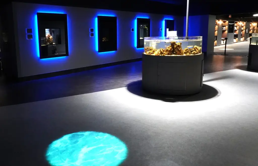 静岡市「用宗漁港」で3月21日(土)から、しらす漁が解禁／初日の水揚げ量は約2,000kg！とれたての「生しらす丼」や用宗漁港限定「しらすソフト」などお土産にもぴったりなしらすグルメも発売 画像 22