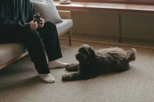 三重・伊賀上野の文化財ホテル、2026年4月増床・新棟オープン。貸切“蔵サウナ”や愛犬と過ごせるスイートルームを拡充 画像 5