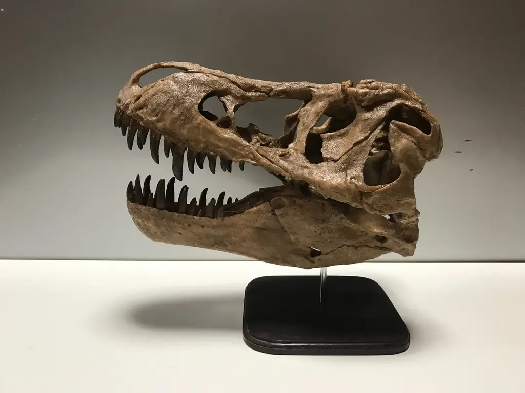 ティラノサウルスやトリケラトプスなど12種類の大迫力恐竜が動く！吠える！「東京たま大恐竜博」開催　クラフトビールも味わえる「ジュラシックナイト」、ものづくり体験イベント「つくるんフェスタ」同時開催 画像 5