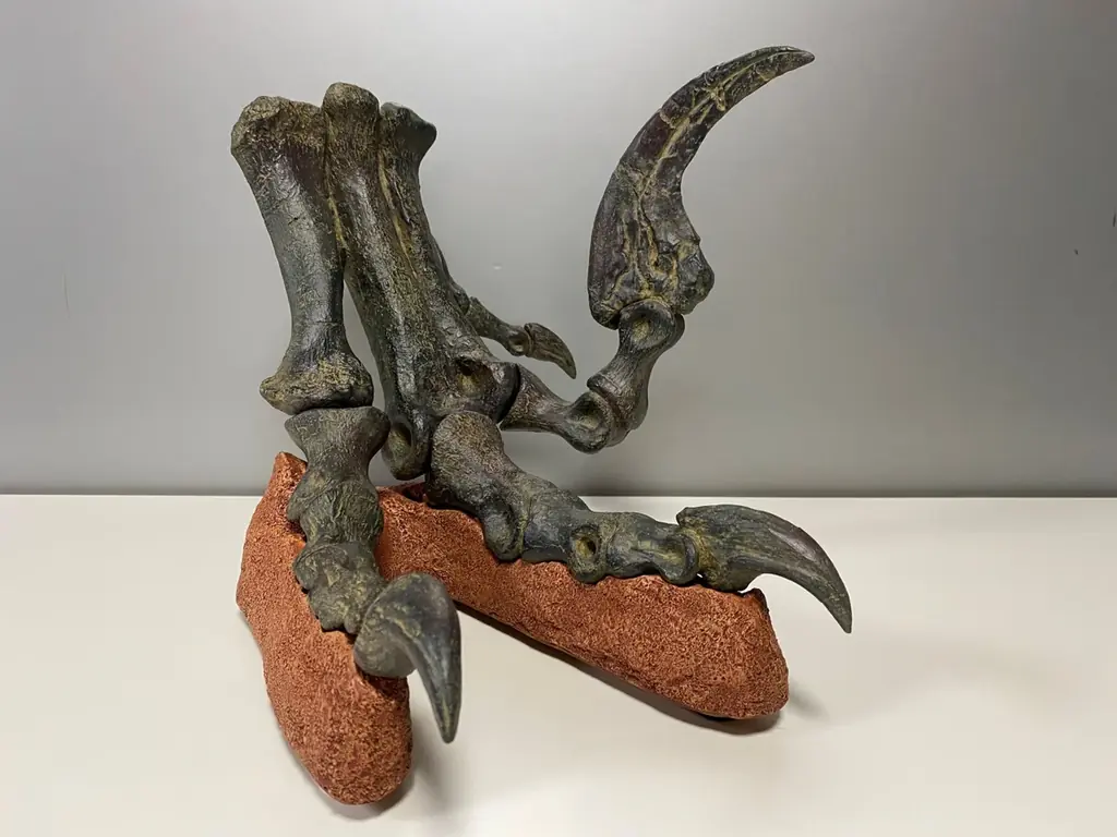 ティラノサウルスやトリケラトプスなど12種類の大迫力恐竜が動く！吠える！「東京たま大恐竜博」開催　クラフトビールも味わえる「ジュラシックナイト」、ものづくり体験イベント「つくるんフェスタ」同時開催 画像 6