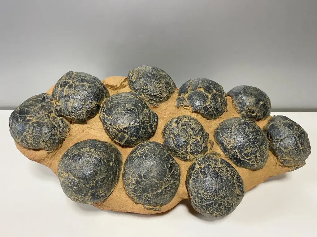 ティラノサウルスやトリケラトプスなど12種類の大迫力恐竜が動く！吠える！「東京たま大恐竜博」開催　クラフトビールも味わえる「ジュラシックナイト」、ものづくり体験イベント「つくるんフェスタ」同時開催 画像 7