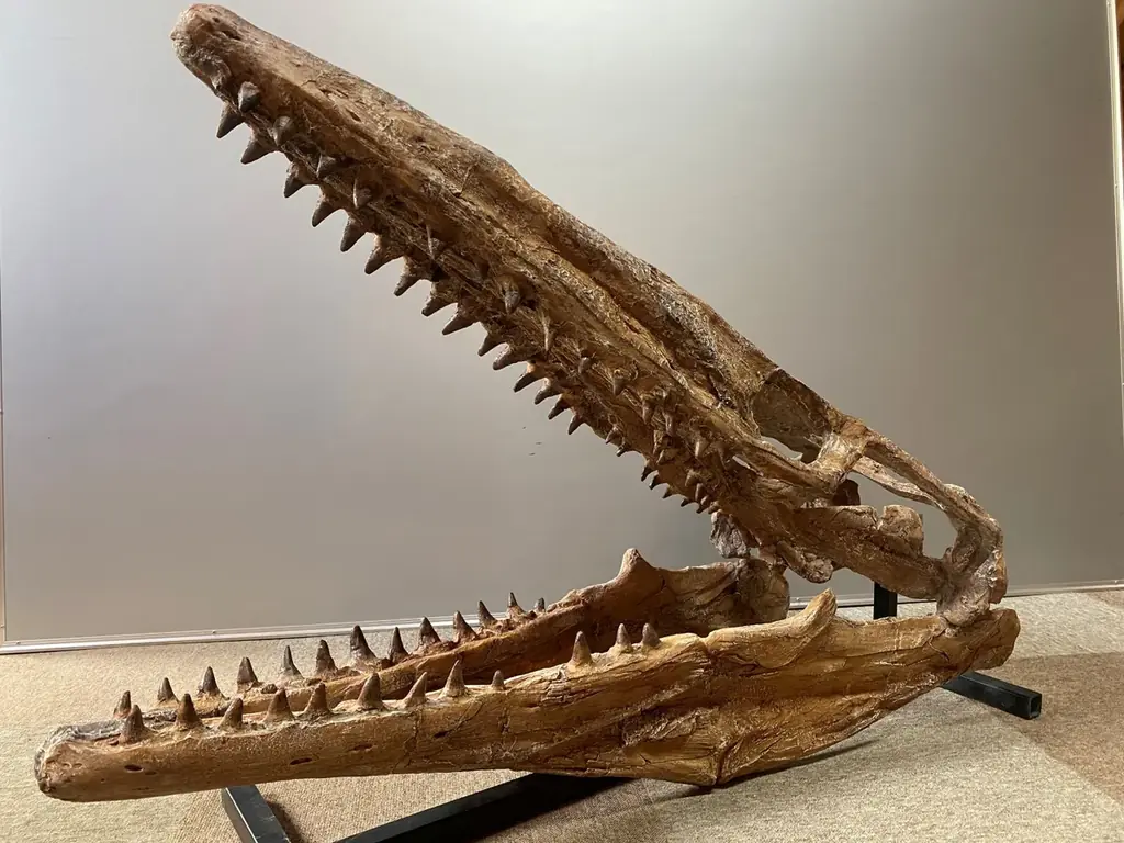 ティラノサウルスやトリケラトプスなど12種類の大迫力恐竜が動く！吠える！「東京たま大恐竜博」開催　クラフトビールも味わえる「ジュラシックナイト」、ものづくり体験イベント「つくるんフェスタ」同時開催 画像 8