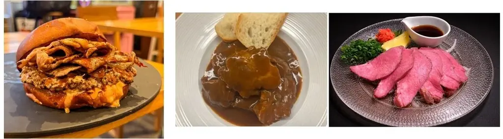 家族みんなで「肉フェスしようよ！！」食べて！飲んで！遊んで！歌って！肉フェス満喫！１日遊べるお台場にGO！！ 画像 6