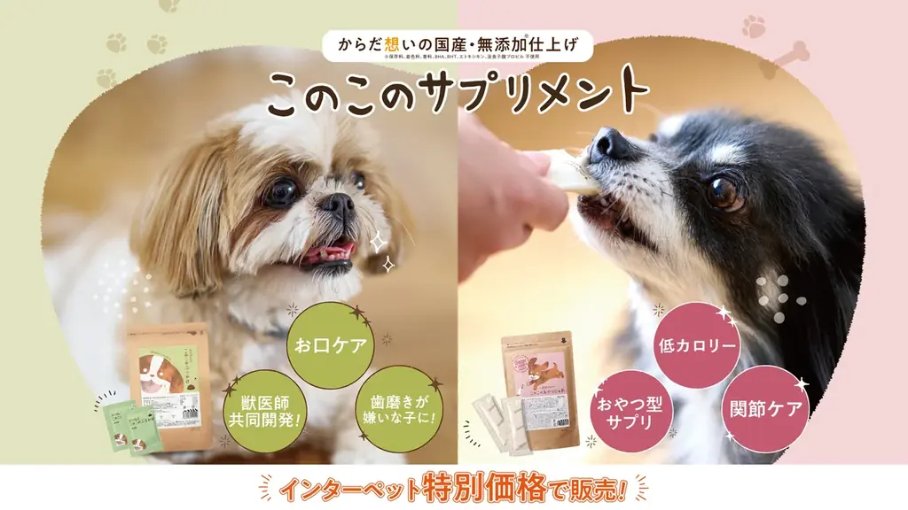 愛犬への“ラブレター”で壁が埋め尽くされる！？このこのごはんシリーズ累計400万袋（※1）突破の『コノコトトモニ』が今年もインターペット東京に出展【株式会社ゆずず】 画像 10
