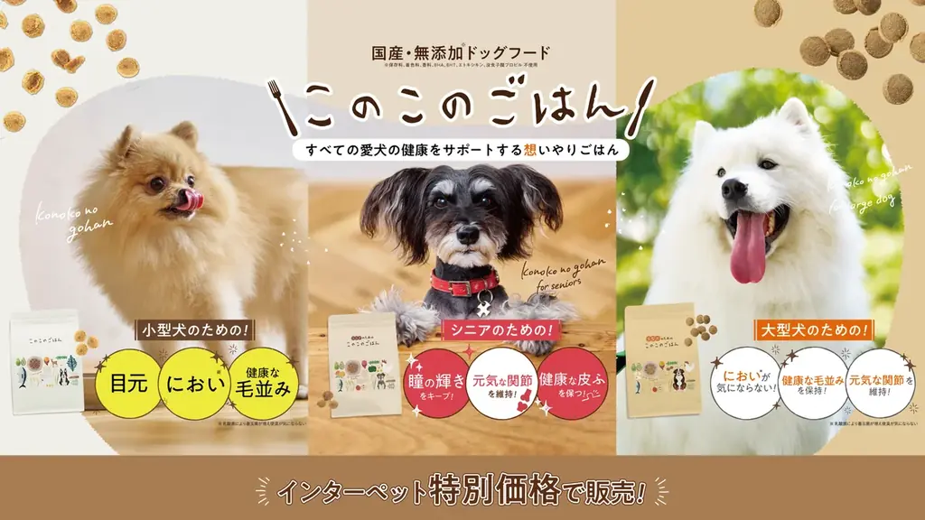 愛犬への“ラブレター”で壁が埋め尽くされる！？このこのごはんシリーズ累計400万袋（※1）突破の『コノコトトモニ』が今年もインターペット東京に出展【株式会社ゆずず】 画像 9