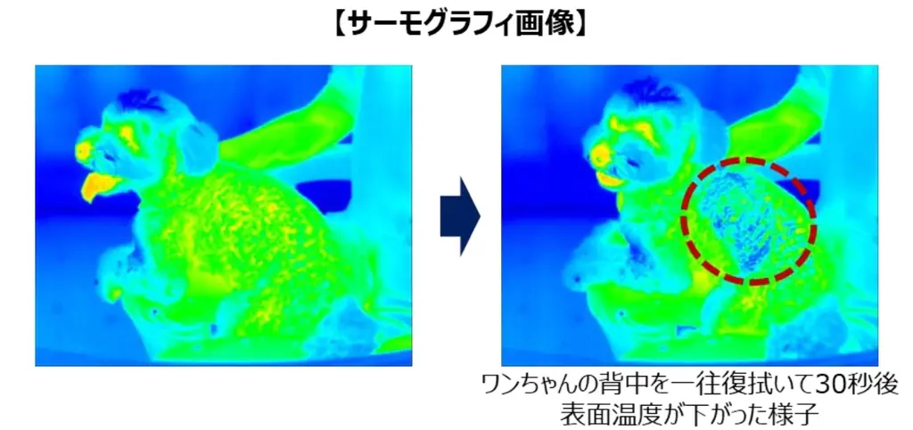 拭いた瞬間から熱を逃がしてワンちゃんの表面温度を３℃下げる※『デオクリーン -3℃冷んやりからだふき』新発売 画像 3