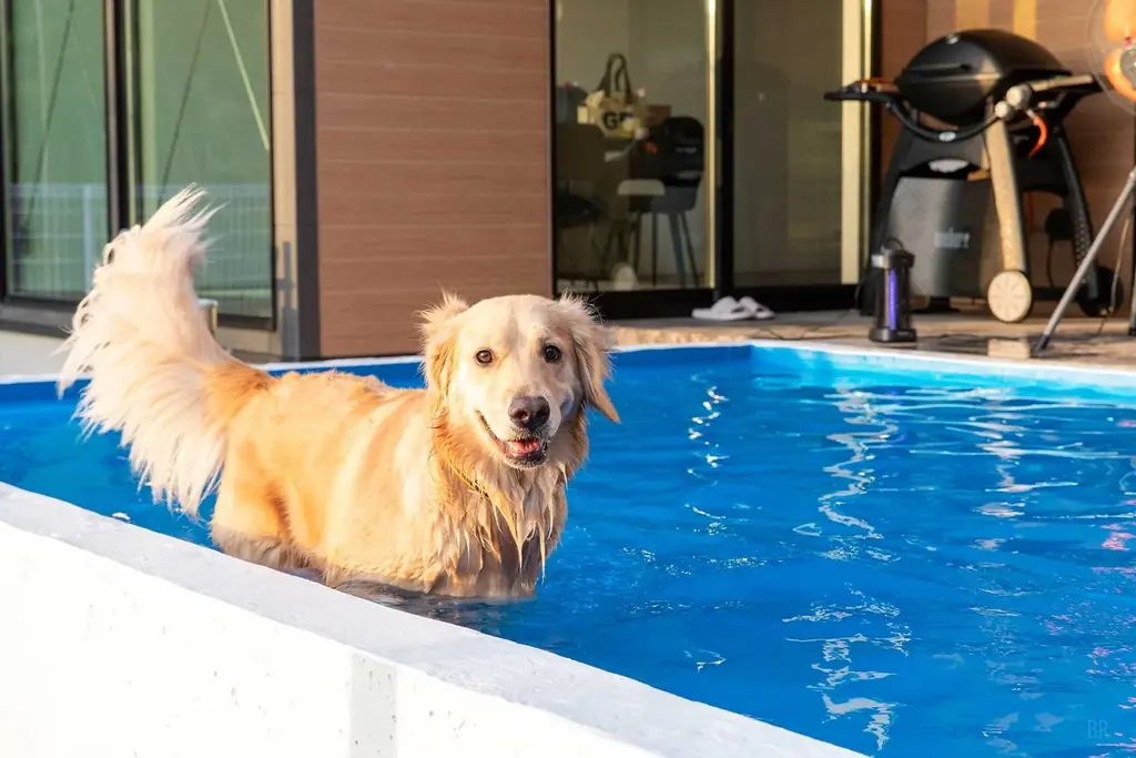 【1周年記念】愛犬と過ごす「プライベートヴィラAMIRU千葉一宮」が開業1周年！”かずさ和牛”の豪華BBQ贈呈＆宿泊10%OFFのダブル感謝祭を開催 画像 16