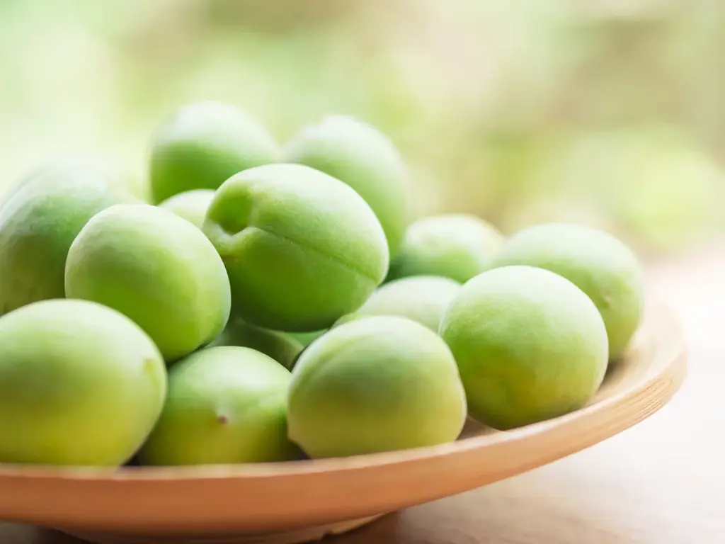 【4·5月限定】18種類の出来立てジェラートが食べられる焼肉店【プレミアムカルビ】 画像 6