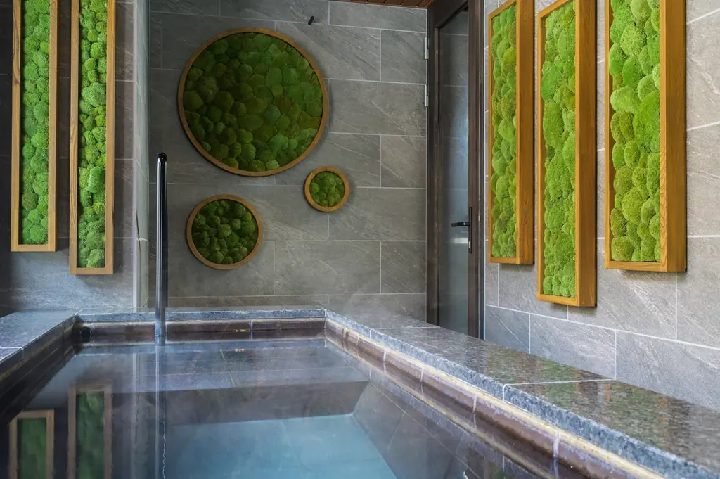 【奥入瀬渓流ホテル】運営開始20周年記念！自然愛にあふれた苔まみれの宿泊プラン「おいらせ苔旅」パワーアップして販売開始 画像 3