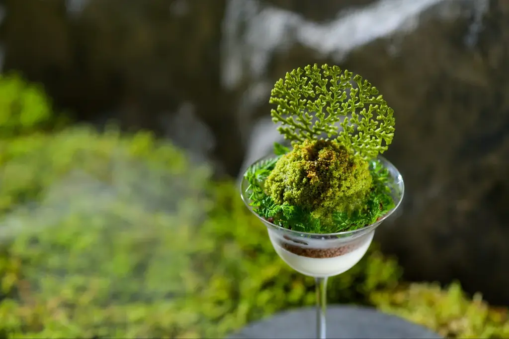 【奥入瀬渓流ホテル】運営開始20周年記念！自然愛にあふれた苔まみれの宿泊プラン「おいらせ苔旅」パワーアップして販売開始 画像 4