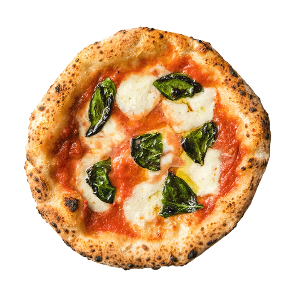 がぶ飲みワインと窯焼きピッツァの「北海道イタリアン居酒屋　エゾバルバンバン環状通東店」が2026年4月4日にNEW OPEN！ 画像 2