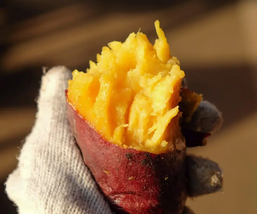 全国からおいもグルメが名古屋にやってくる！「愛知おいも万博2026」会場マップを公開！ 画像 5