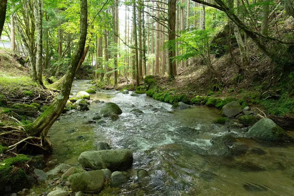 【先着20組限定7,000円引クーポン配布】全棟サウナ付グランピング施設シタラヴィレッジが「春の旅行支援」4プランを発表！U30割・子連れ無料・グループ1万円引など、奥三河の春を遊び尽くすグランピング 画像 2