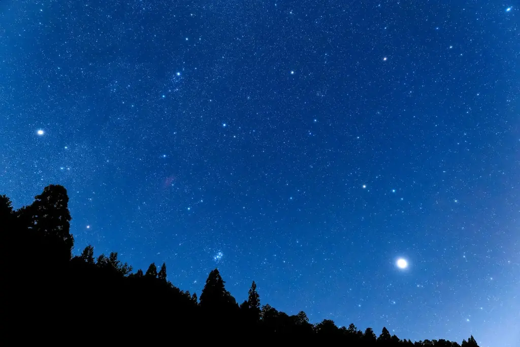 【先着20組限定7,000円引クーポン配布】全棟サウナ付グランピング施設シタラヴィレッジが「春の旅行支援」4プランを発表！U30割・子連れ無料・グループ1万円引など、奥三河の春を遊び尽くすグランピング 画像 4