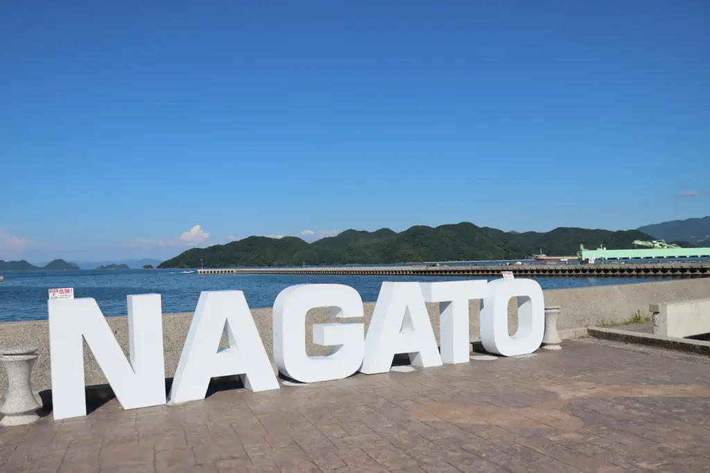 道の駅大賞で西日本第１位「道の駅センザキッチン」新駅長に清水美憂さんが就任 画像 4