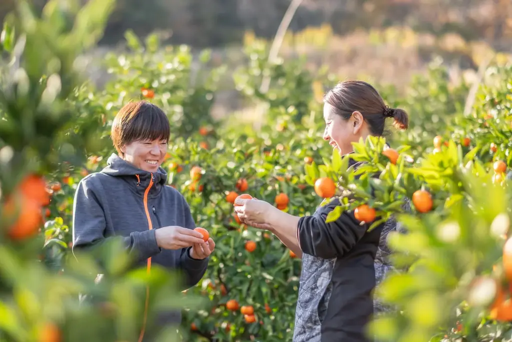 小豆島限定のデザートを提供する特別イベント。「春の小豆島オリーブと柑橘の美食会」4月４日（土）、４月５日（日）に開催します。 画像 5