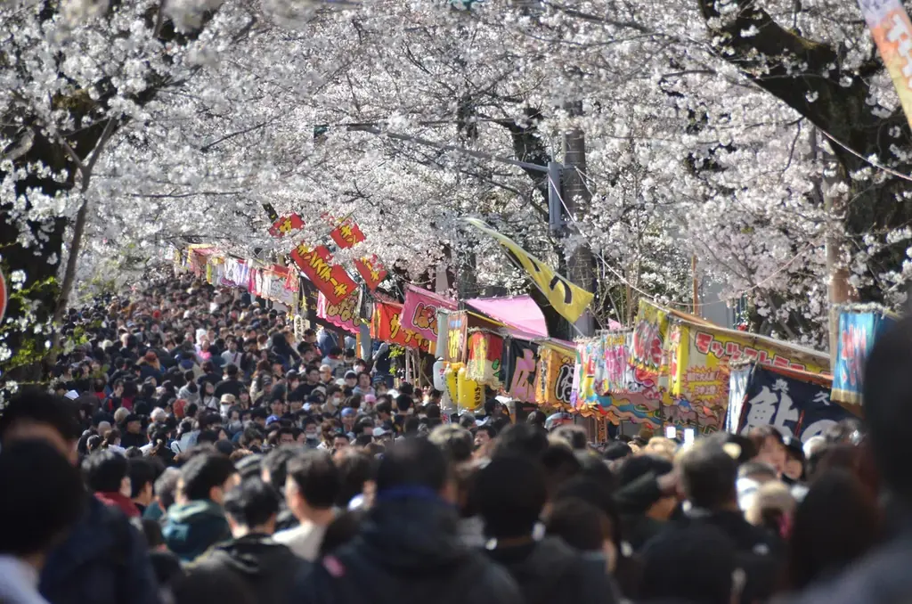 千葉県松戸市で開催される『第52回常盤平さくらまつり』にトレバのブースを出展 画像 3