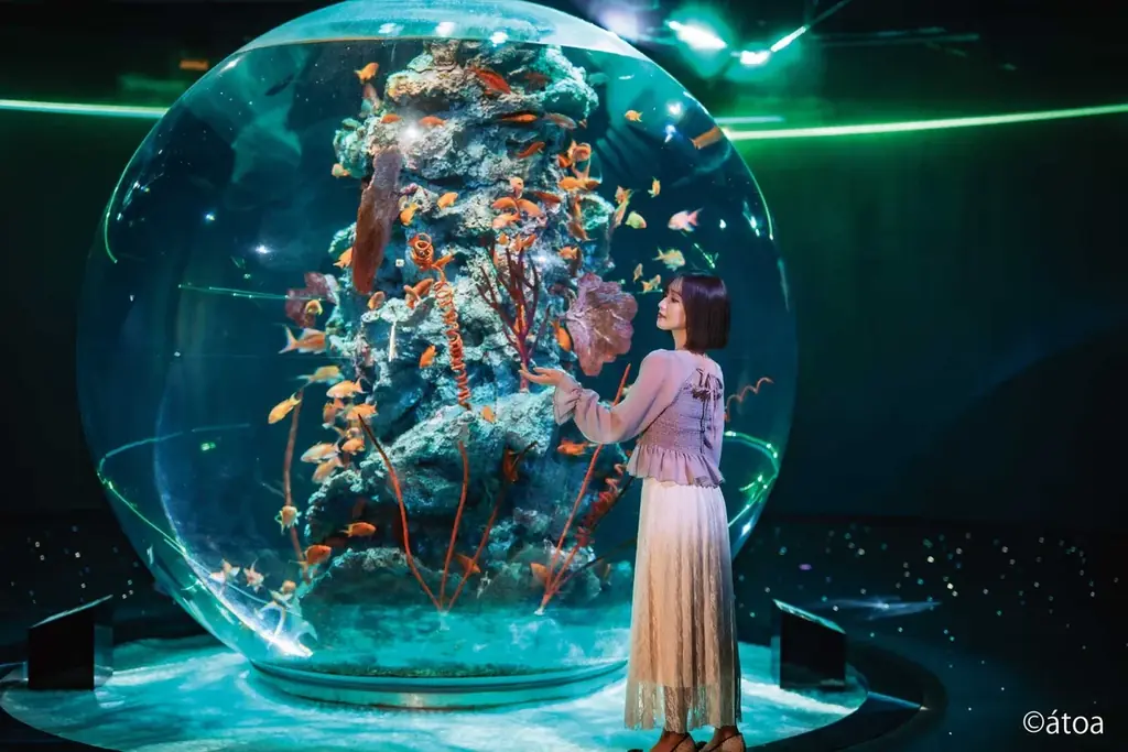 劇場型アクアリウム「アトア」と初コラボ！アートアクアリウムの世界を表現した【ポートピアホテル×アトア】コラボレーションアフタヌーンティーセット 画像 10