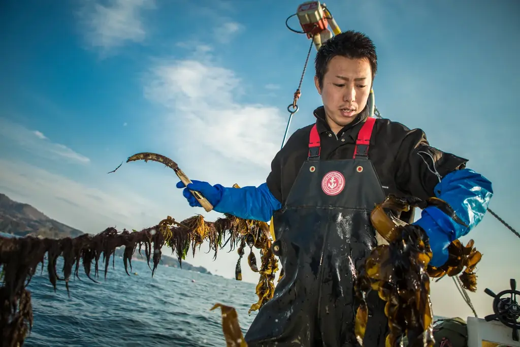 ITプロデューサー×若手漁師。出会うはずのなかった二人が日本の海を変える。実話に基づいた電子漫画『フィッシャーマン・ジャパン』本日3月27日(金)一斉配信開始！ 画像 4