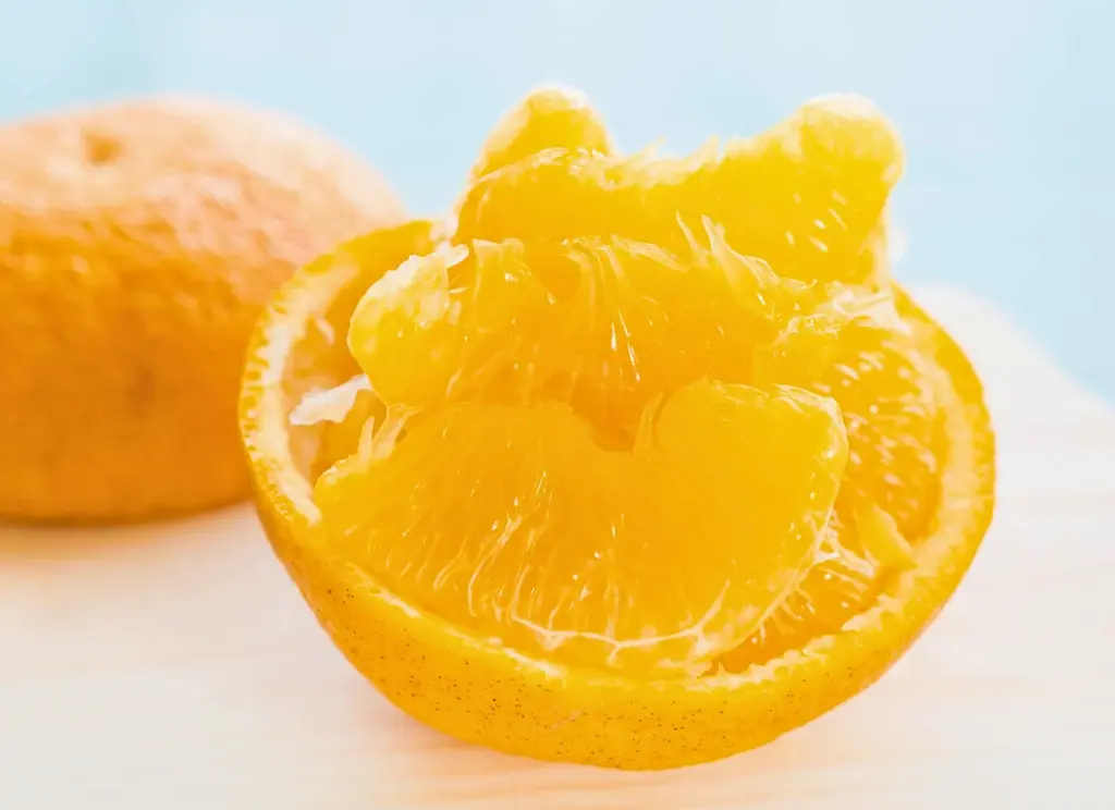 【愛媛から初夏の便り】一般的な甘夏とはひと味違う「樹上完熟甘夏」限定販売―春先まで木で熟した、濃厚な甘みとまろやかな酸味 画像 1