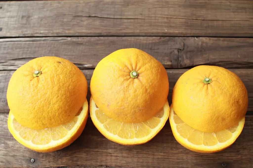 【愛媛から初夏の便り】一般的な甘夏とはひと味違う「樹上完熟甘夏」限定販売―春先まで木で熟した、濃厚な甘みとまろやかな酸味 画像 3