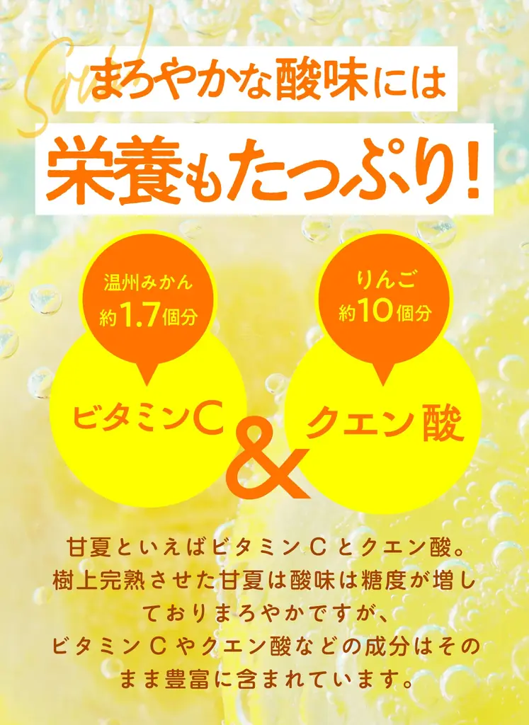 【愛媛から初夏の便り】一般的な甘夏とはひと味違う「樹上完熟甘夏」限定販売―春先まで木で熟した、濃厚な甘みとまろやかな酸味 画像 4